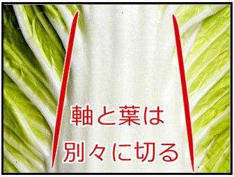 白菜の軸と葉の画像
